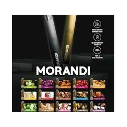 Morandi Device (Nano Compatible)