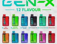 Gen-X by Realx Max 25000puffs